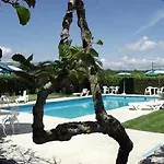 Gospodarstwo wiejskie Quinta Dom Sapo -