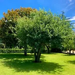 Quinta Dom Sapo - *