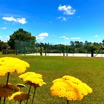 Quinta Dom Sapo -