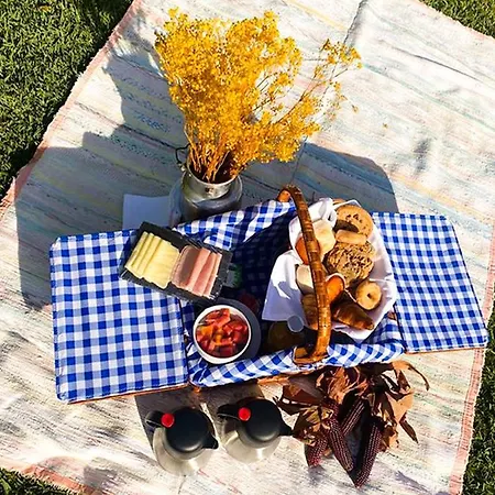 Kır Evi Quinta Dom Sapo -