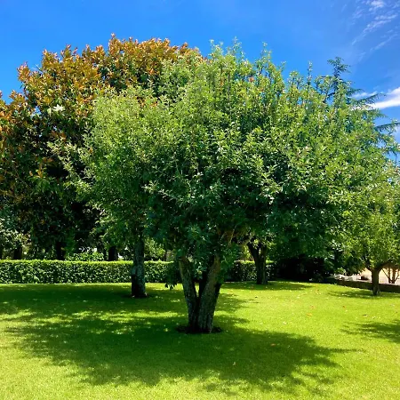 Quinta Dom Sapo - *