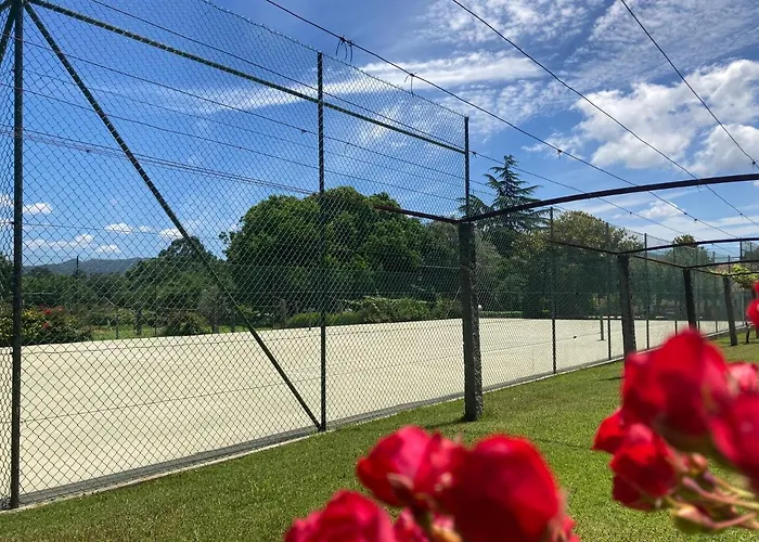 乡村民宿 Quinta Dom Sapo - *